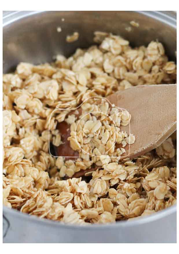 Chocolate Oat Flapjacks (Set 1 of 6)